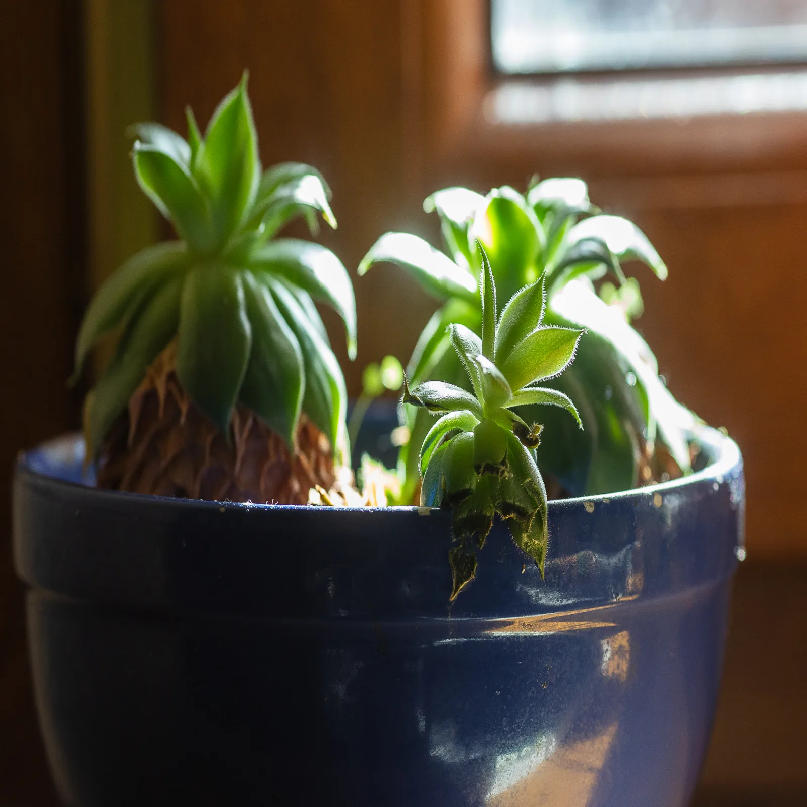 Corno Grande - spacious apartment - 2 baths - Wi Fi- city center - free parking - foto 17