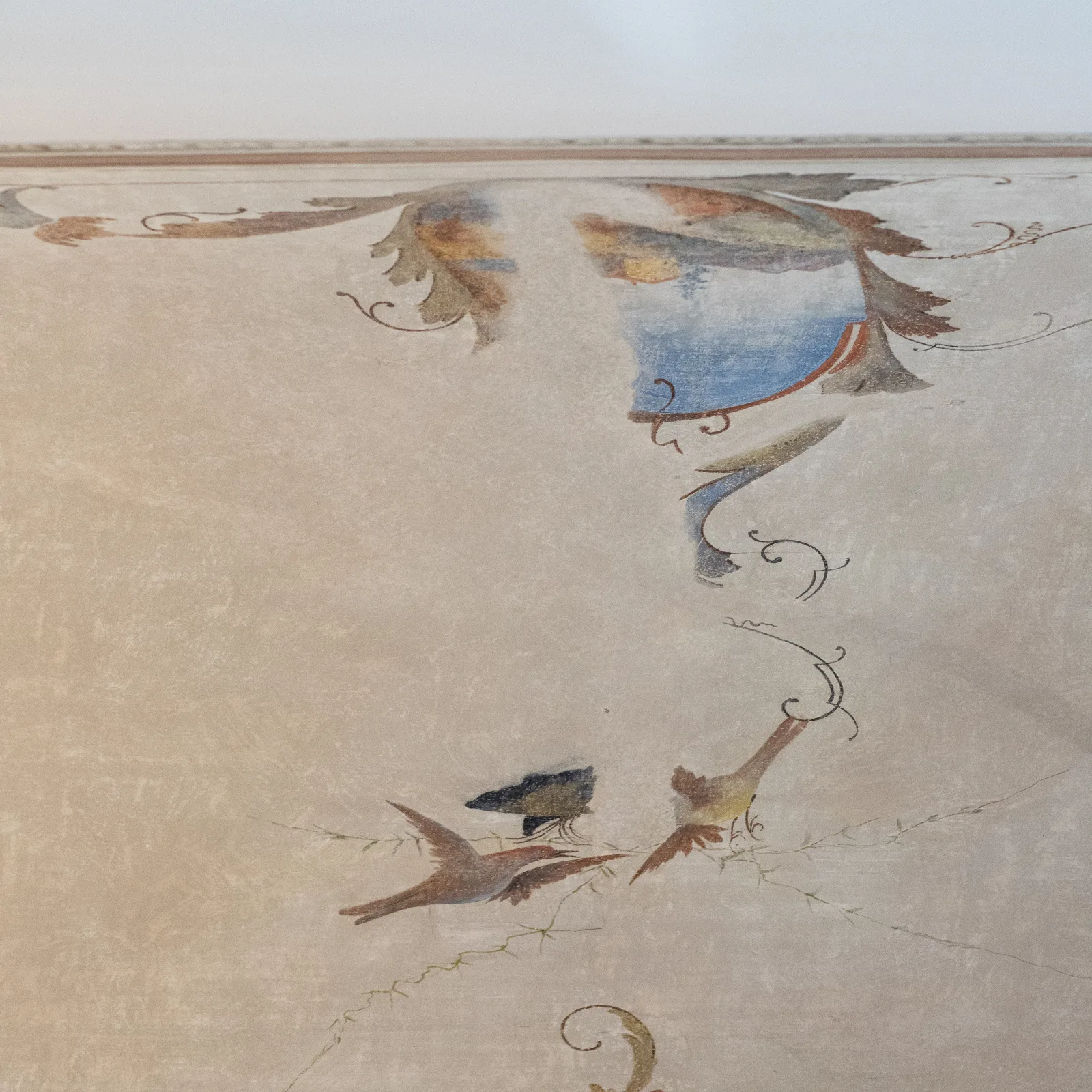 Gli Ippocastani - Free Parking - Old Town - Elegant & Spacious - foto 27