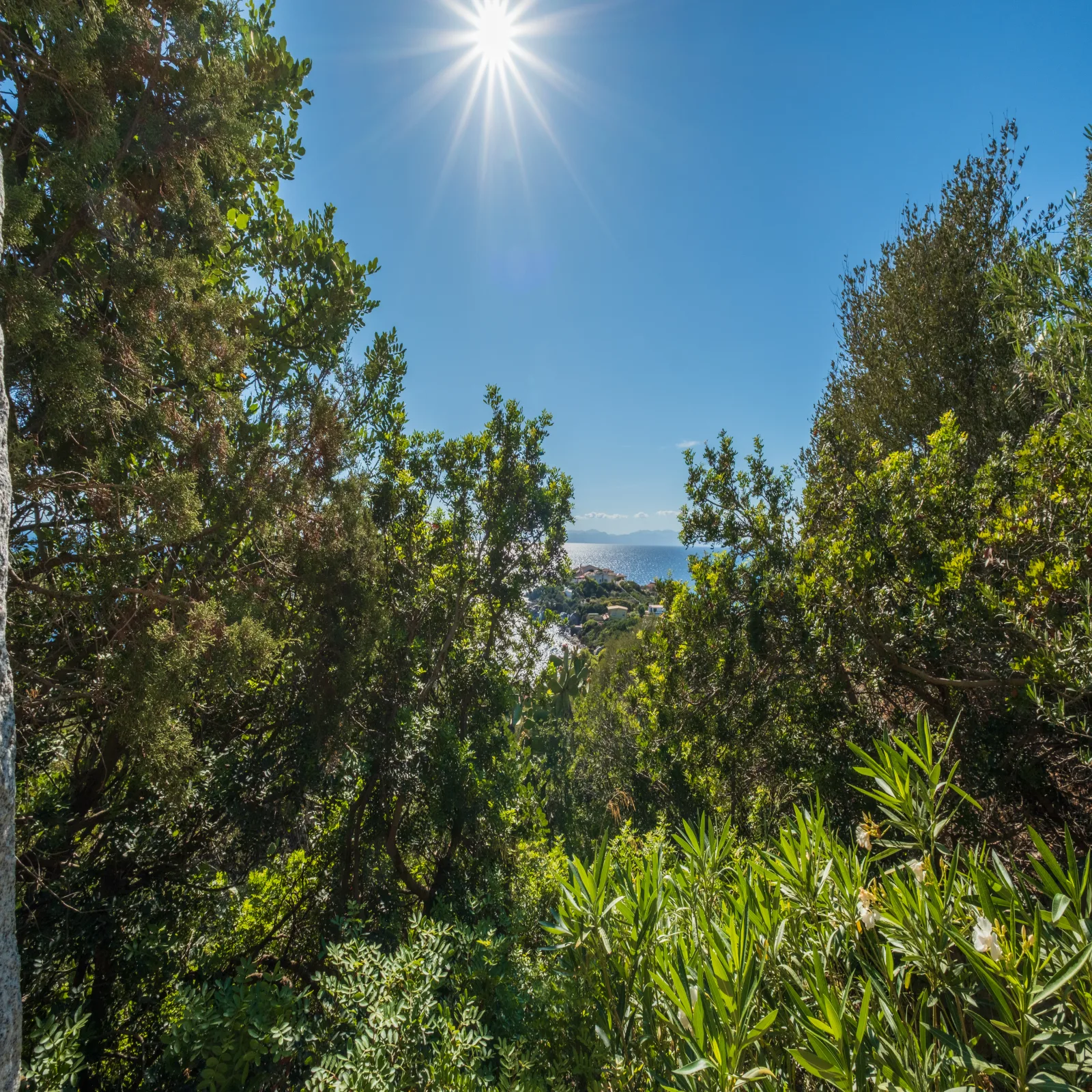 Torre delle Stelle - [Villa di lusso] Giardino privato e accesso alla spiaggia - 2 bagni - foto 15